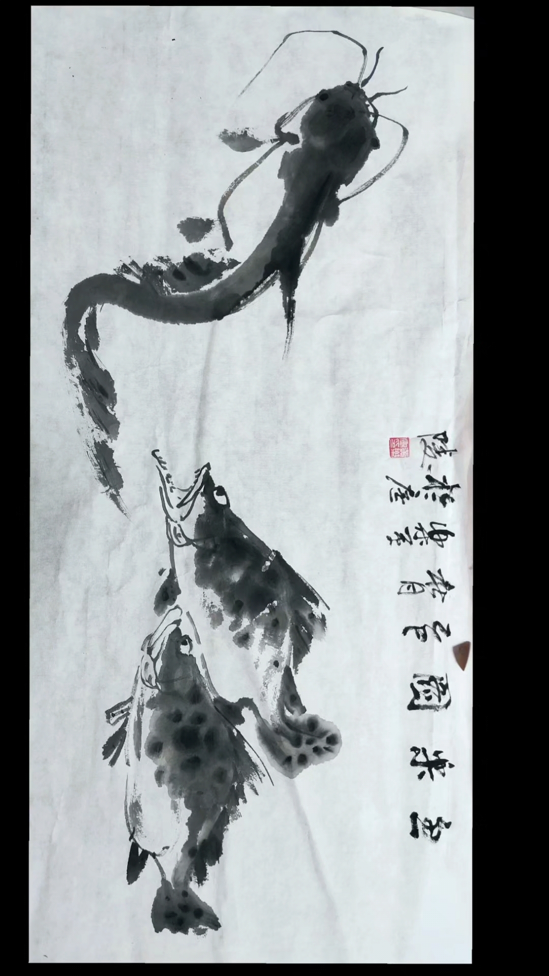 写意鳜鱼练习