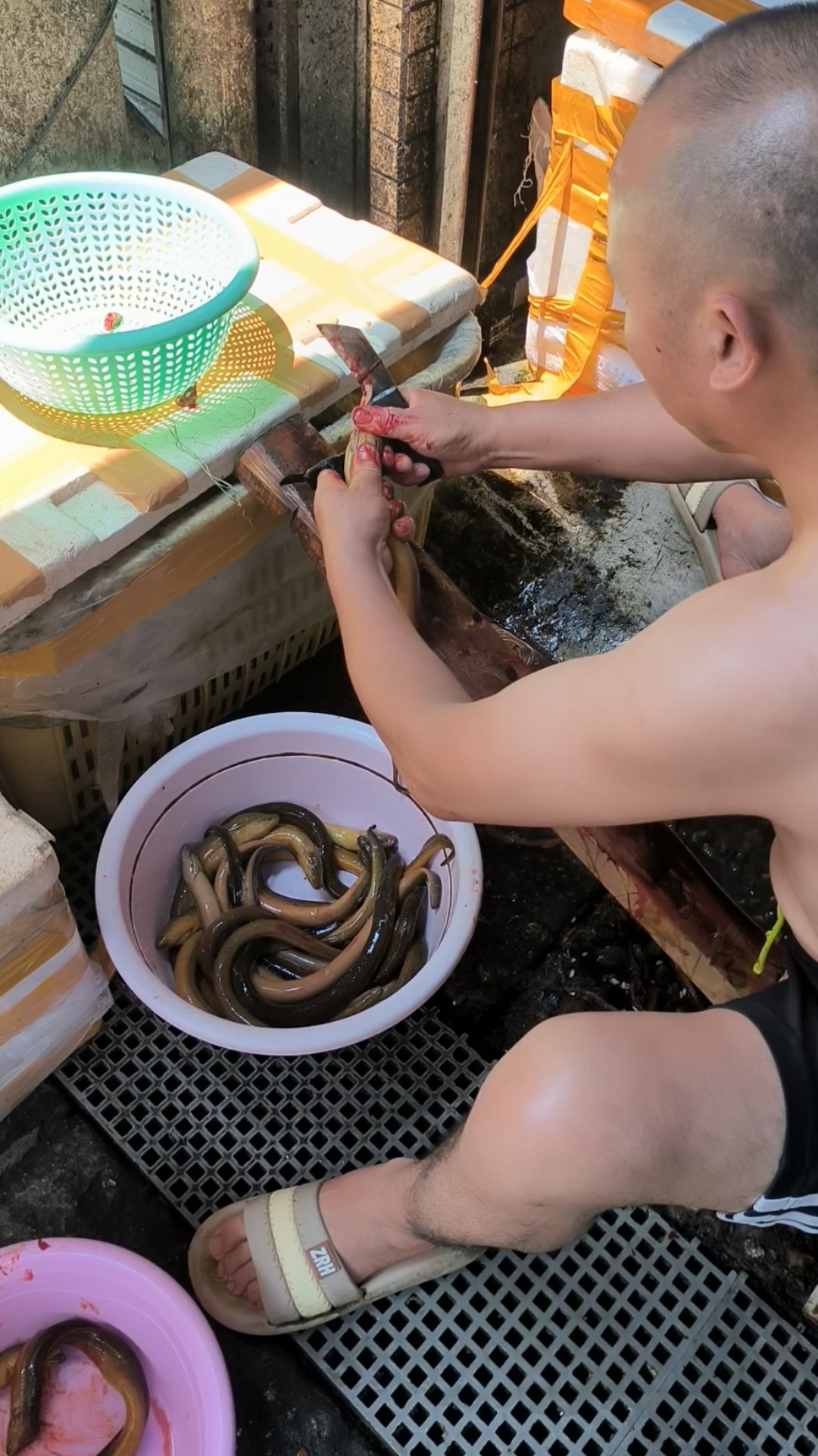 老师傅教你怎么杀鳝鱼