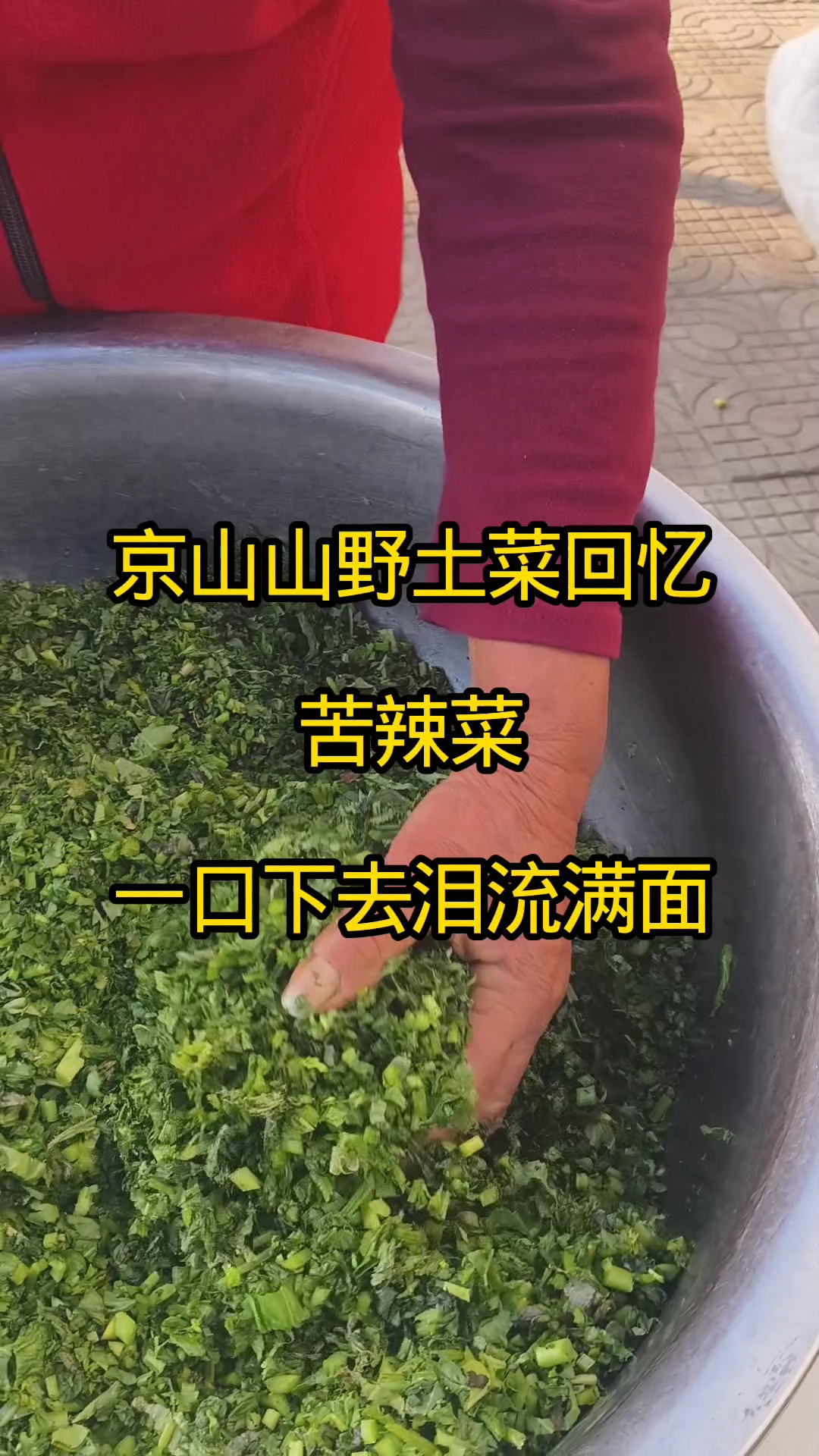 京山山野土菜回忆,苦辣菜,一口下去泪流满面#乡愁记忆