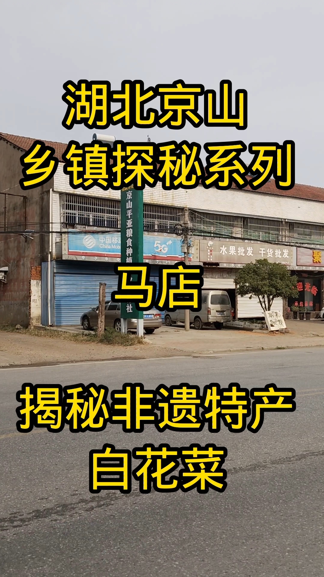 湖北京山,乡镇探秘系列,马店,揭秘非遗特产白花菜
