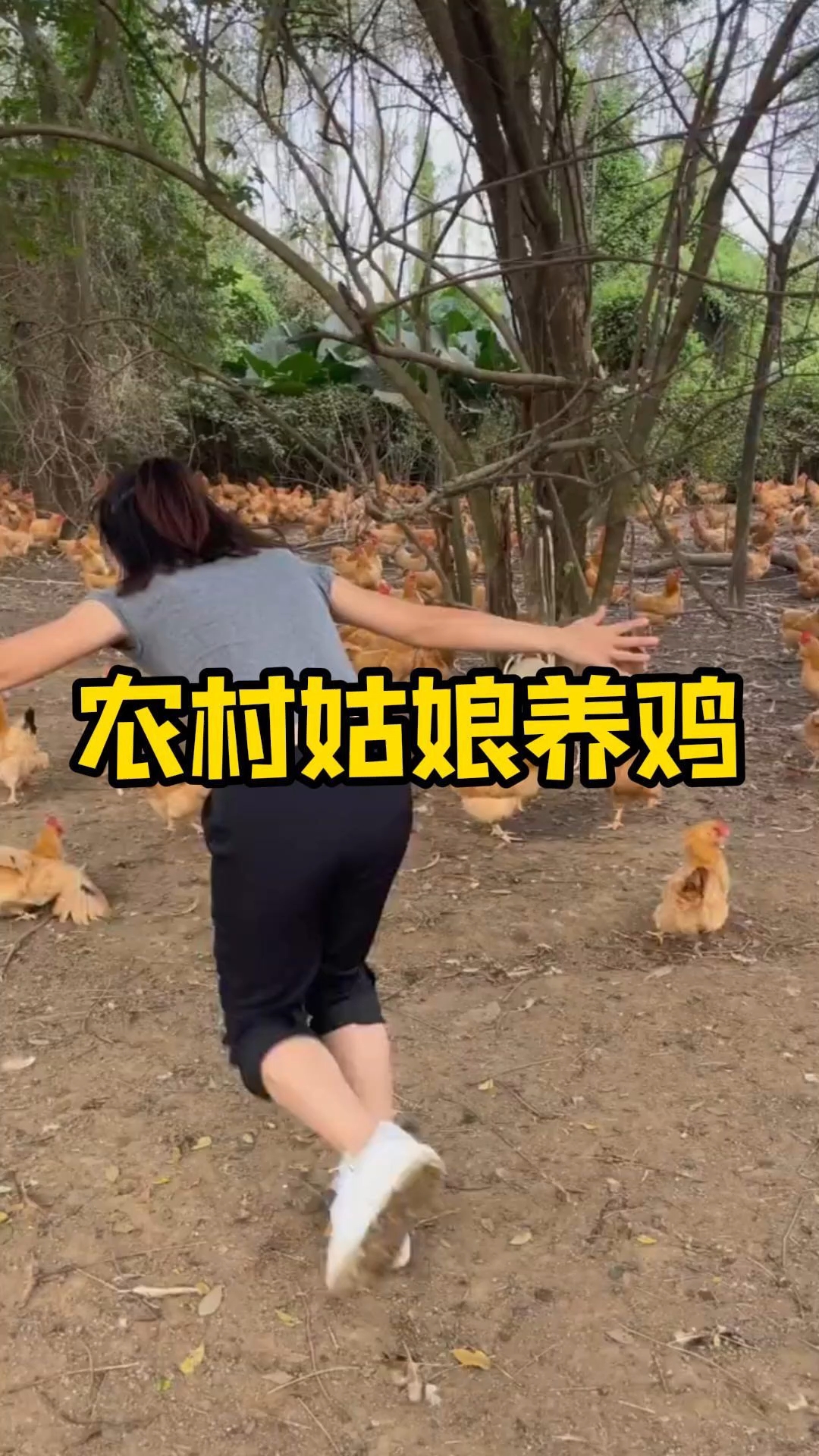 农村姑娘不顾家人反对,在山上散养鸡.家人都不看好,一个小妙招