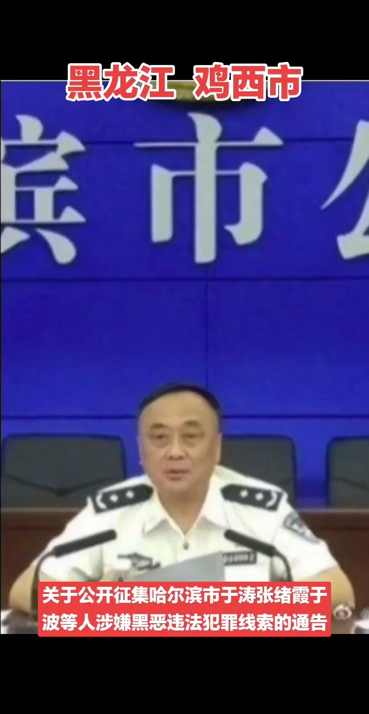 从警40余年的公安局副局长涉黑,妻子、姐姐都是犯罪集团头目!