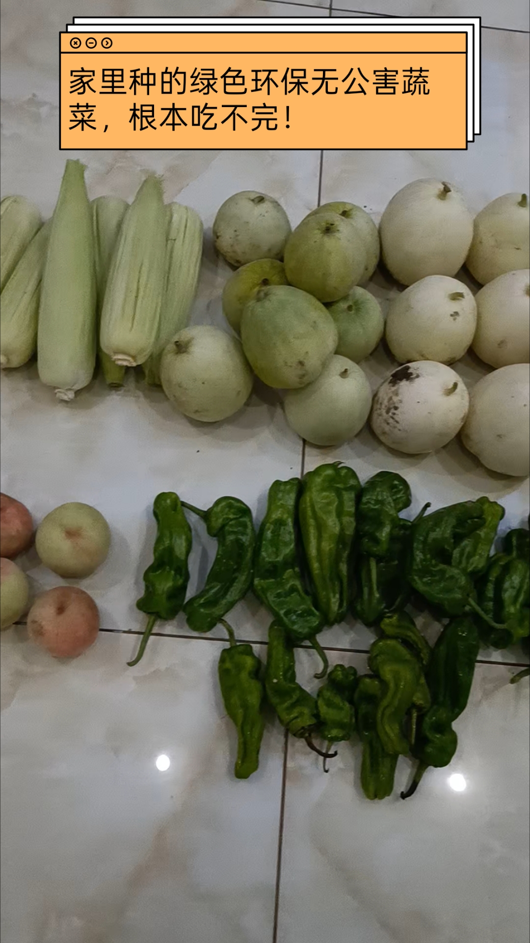 #分享美味#蔬菜#无公害#绿色# #毛孩子看球赛#