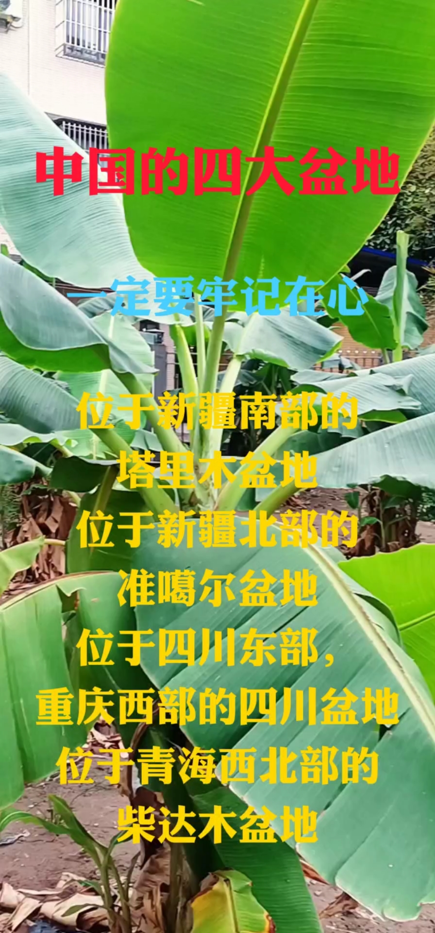 中国的四大盆地你了解多少?