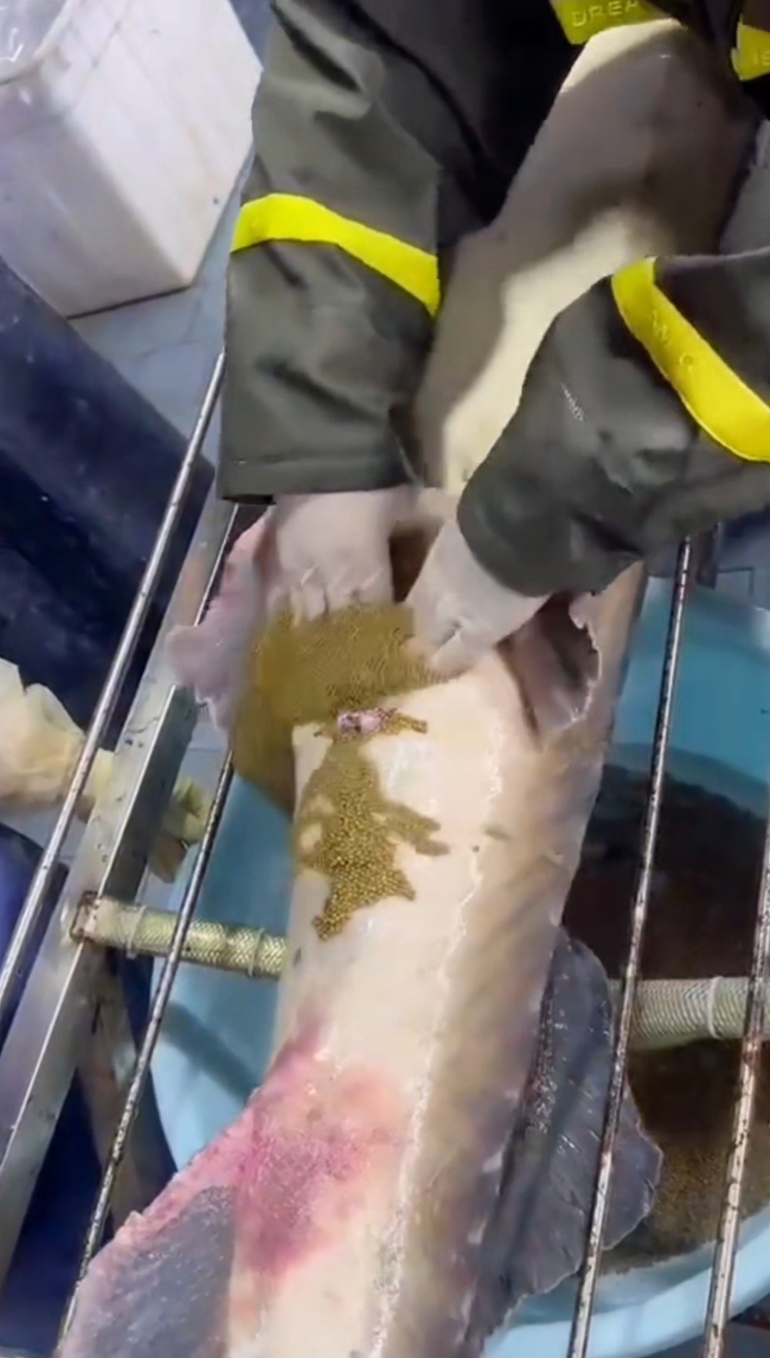 煲汤食谱大全,教你煲汤