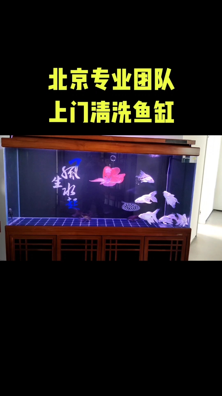 清洗鱼缸 北京专业团队上门清洗鱼缸 鱼缸维修 鱼缸搬运 