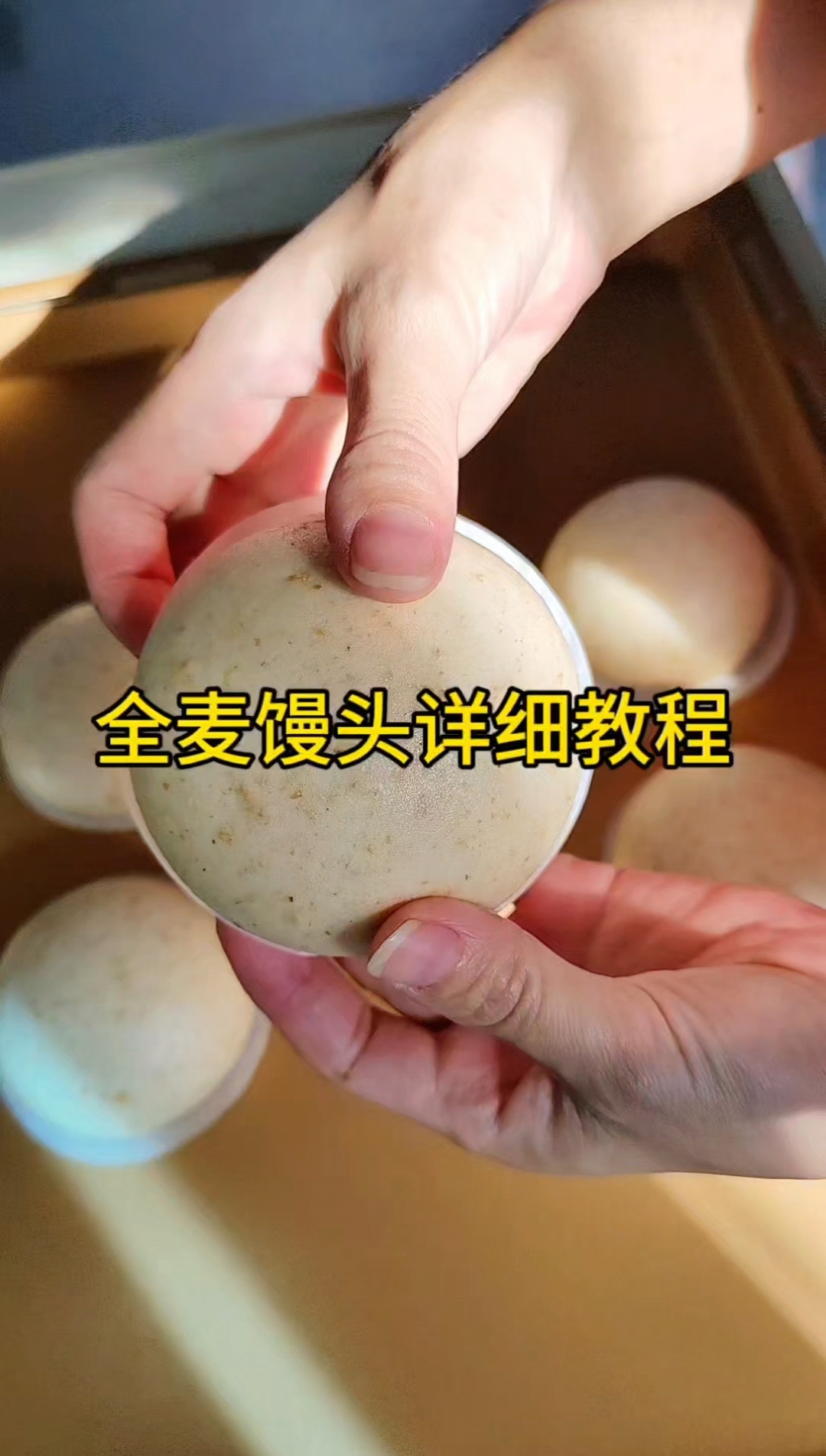 你们要的营养丰富的全麦馒头来了,新手一看就会一做就会