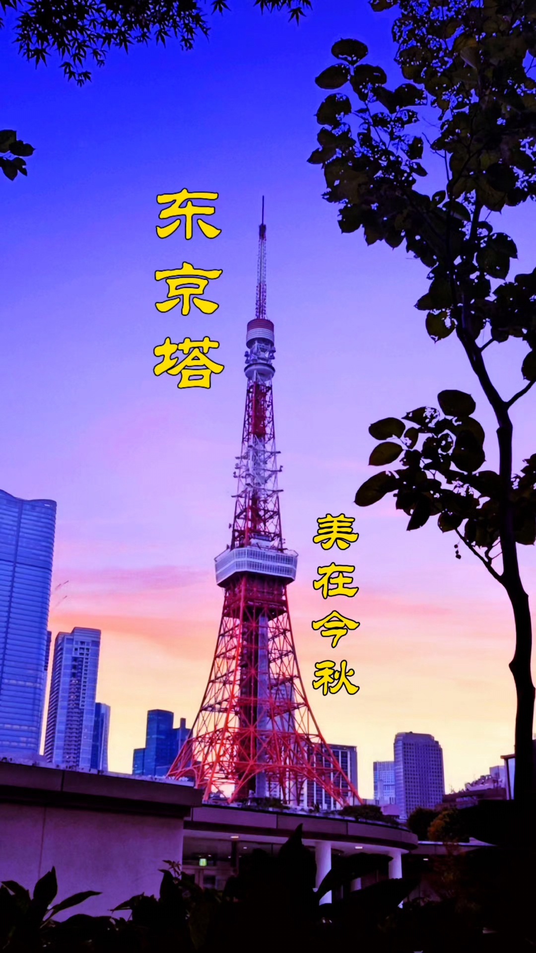 东京塔~日本标志性地标