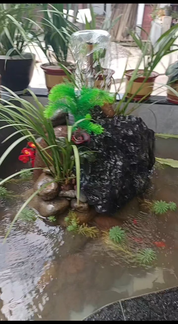 庭院鱼池