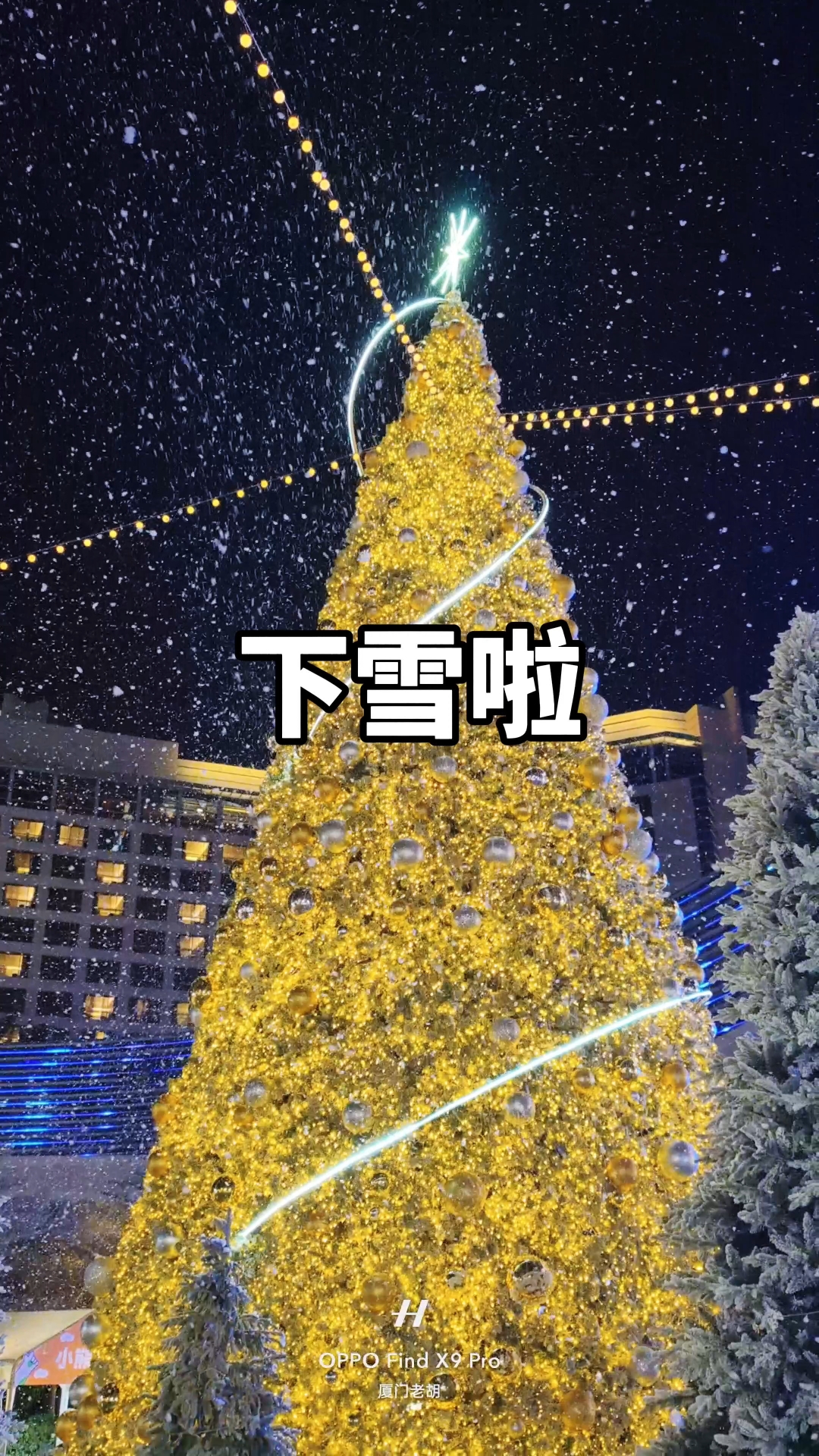 好多厦门人没见过雪，那快来磐基中心看雪花飘飘，小朋友很开心。