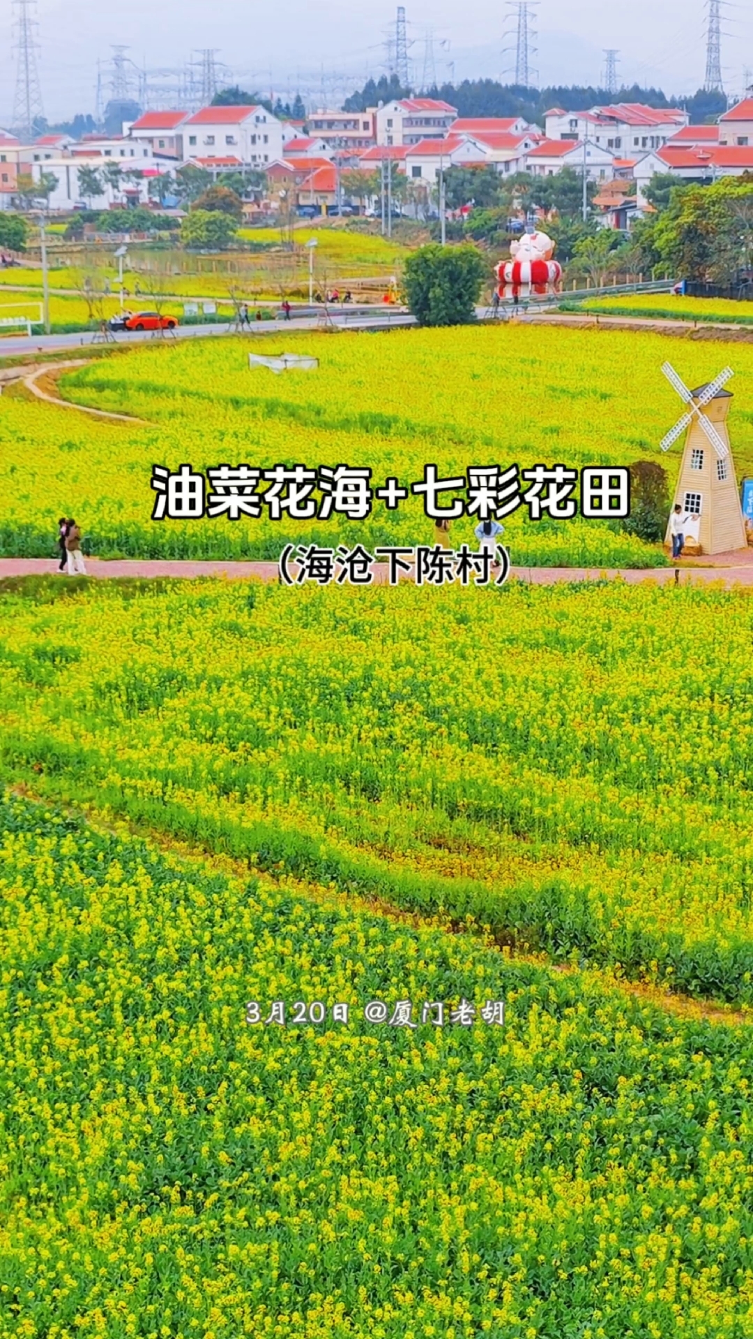 春分时节龙抬头,下陈村百亩油菜花花海已绽放,七彩花田还在。