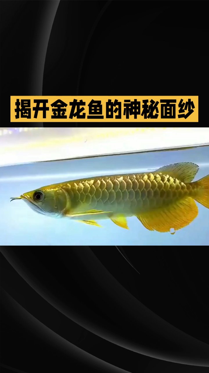 分享视频