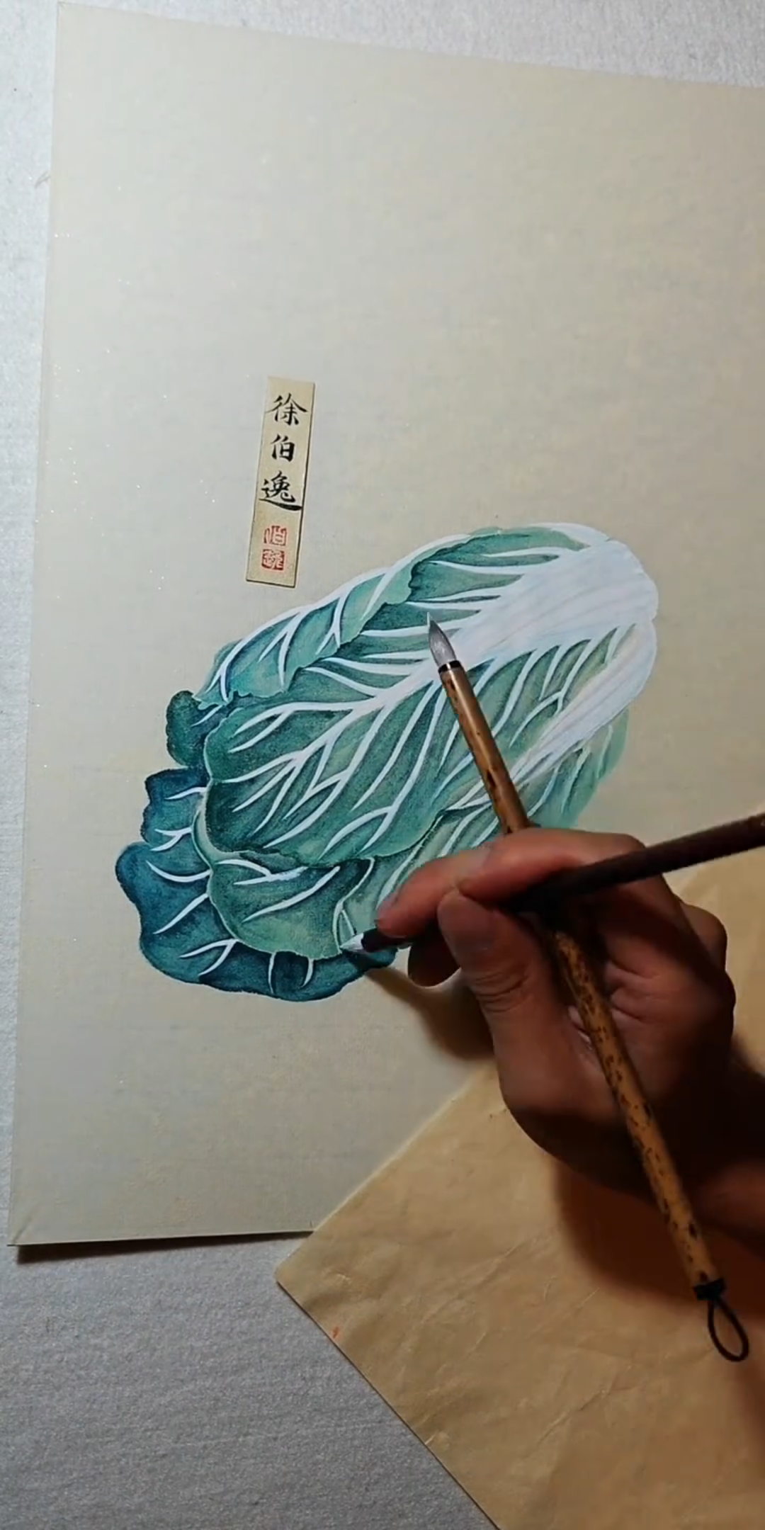 今天画颗大白菜