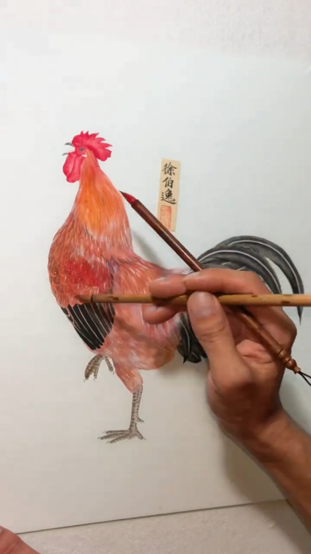 画一只自强的大公鸡