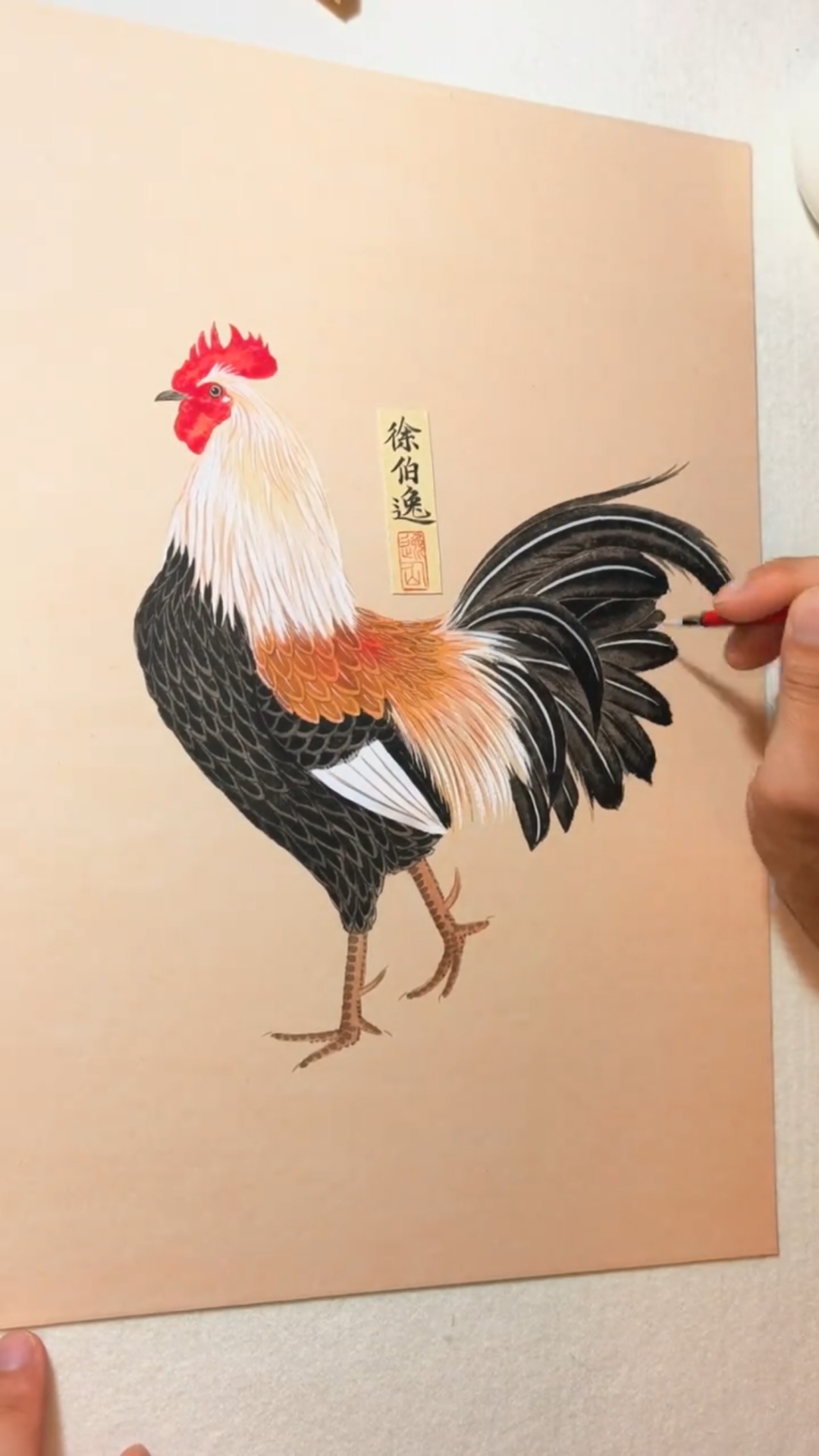 画一只俊俊的大公鸡