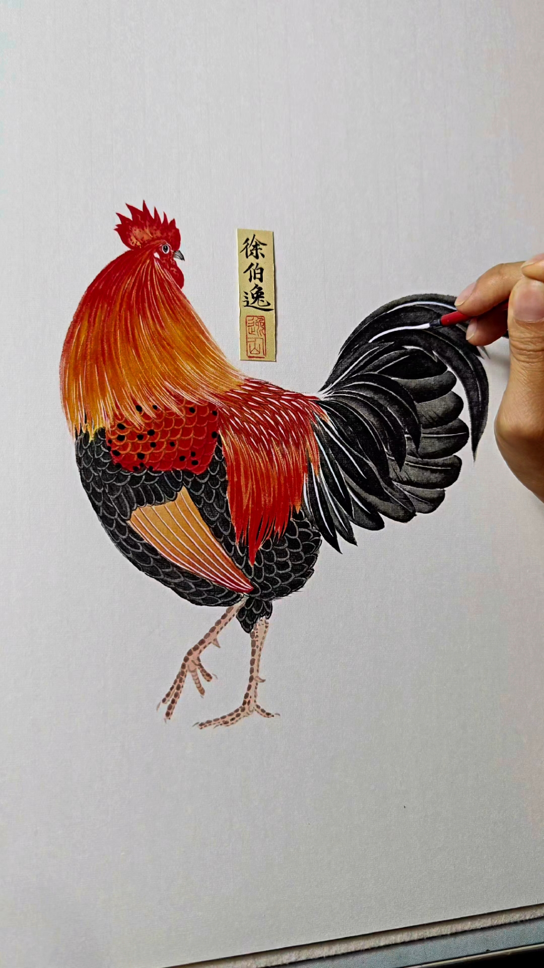 昂然大雄鸡,高冠紫沉羽