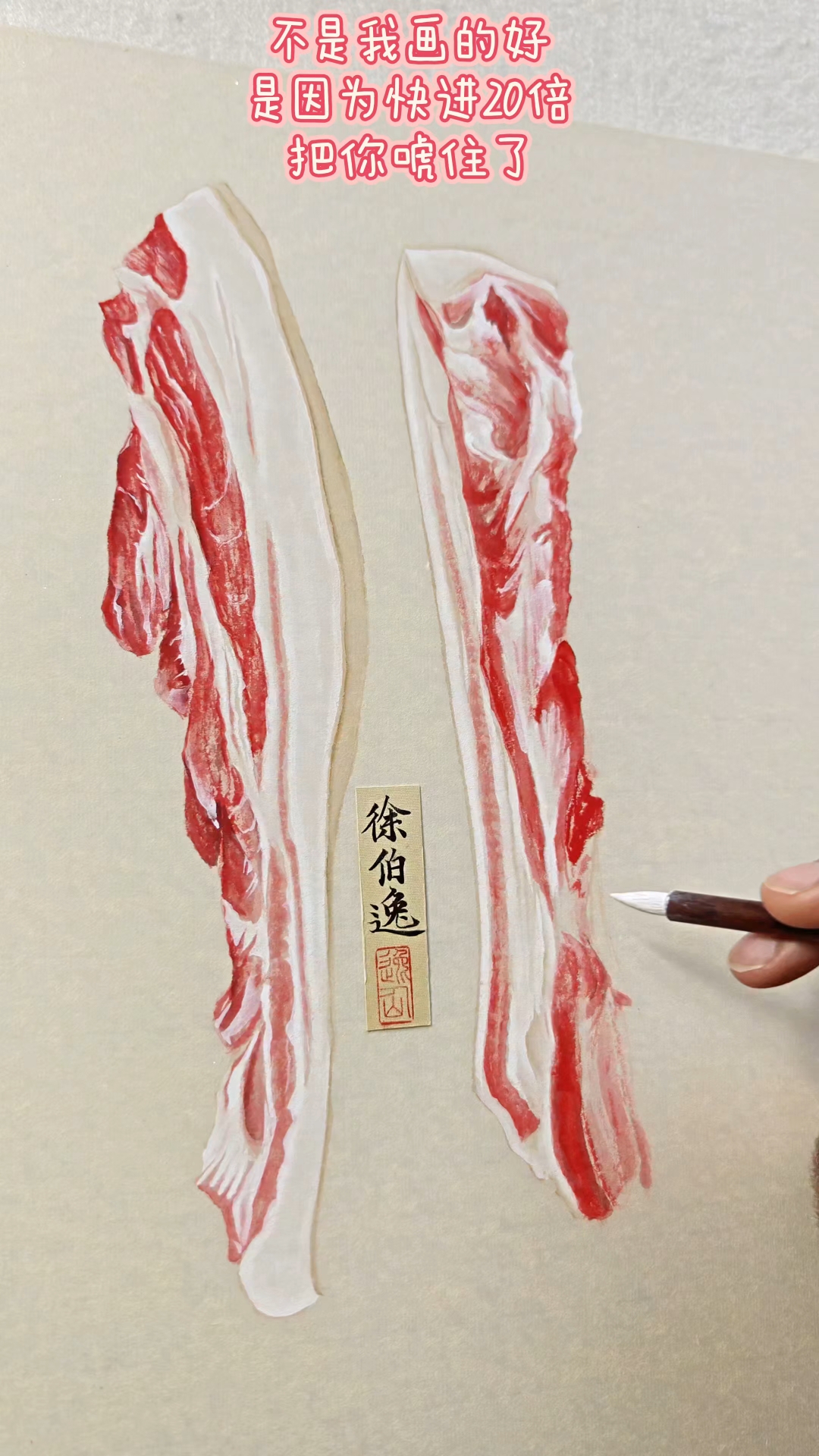这个五花肉一看就会画