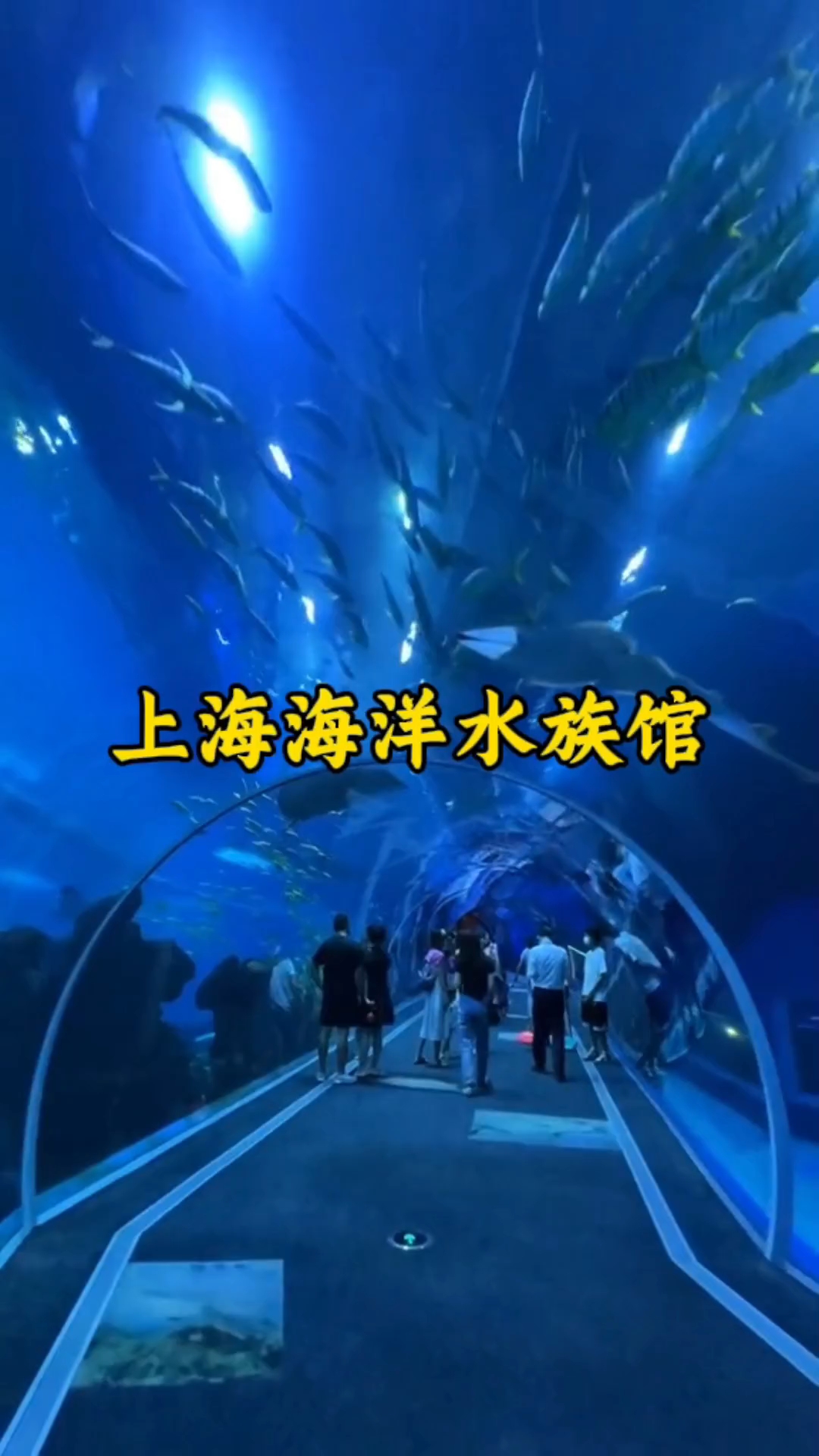 上海海洋水族馆