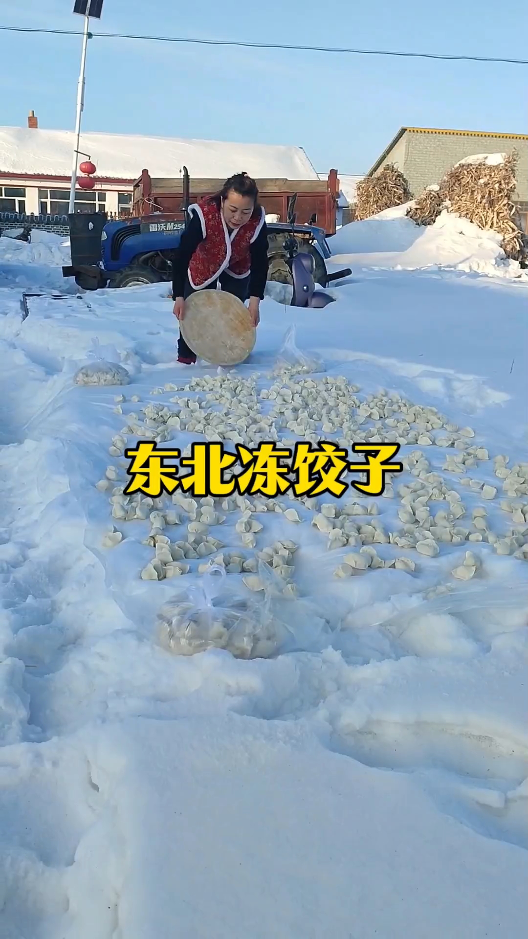 东北冻饺子
