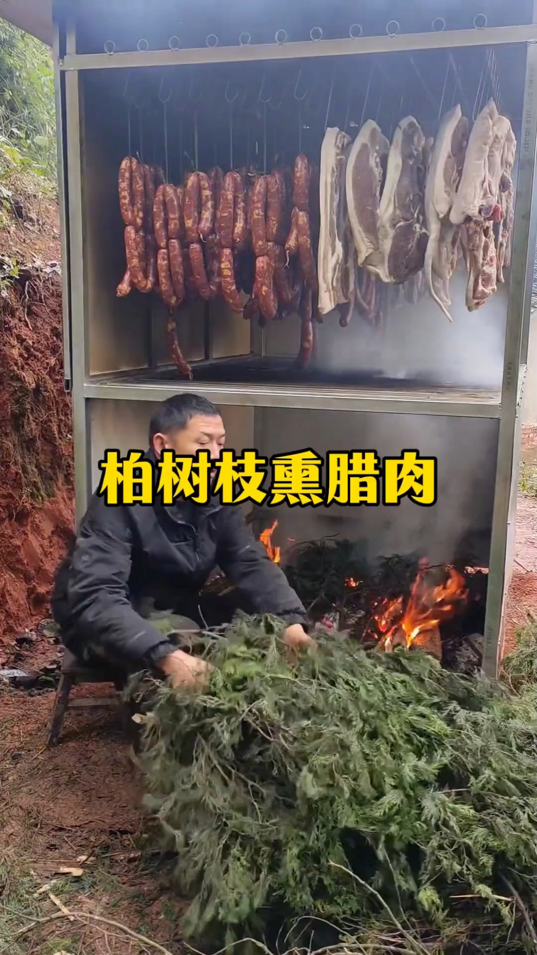 为什么农民要用柏树枝熏制腊肉