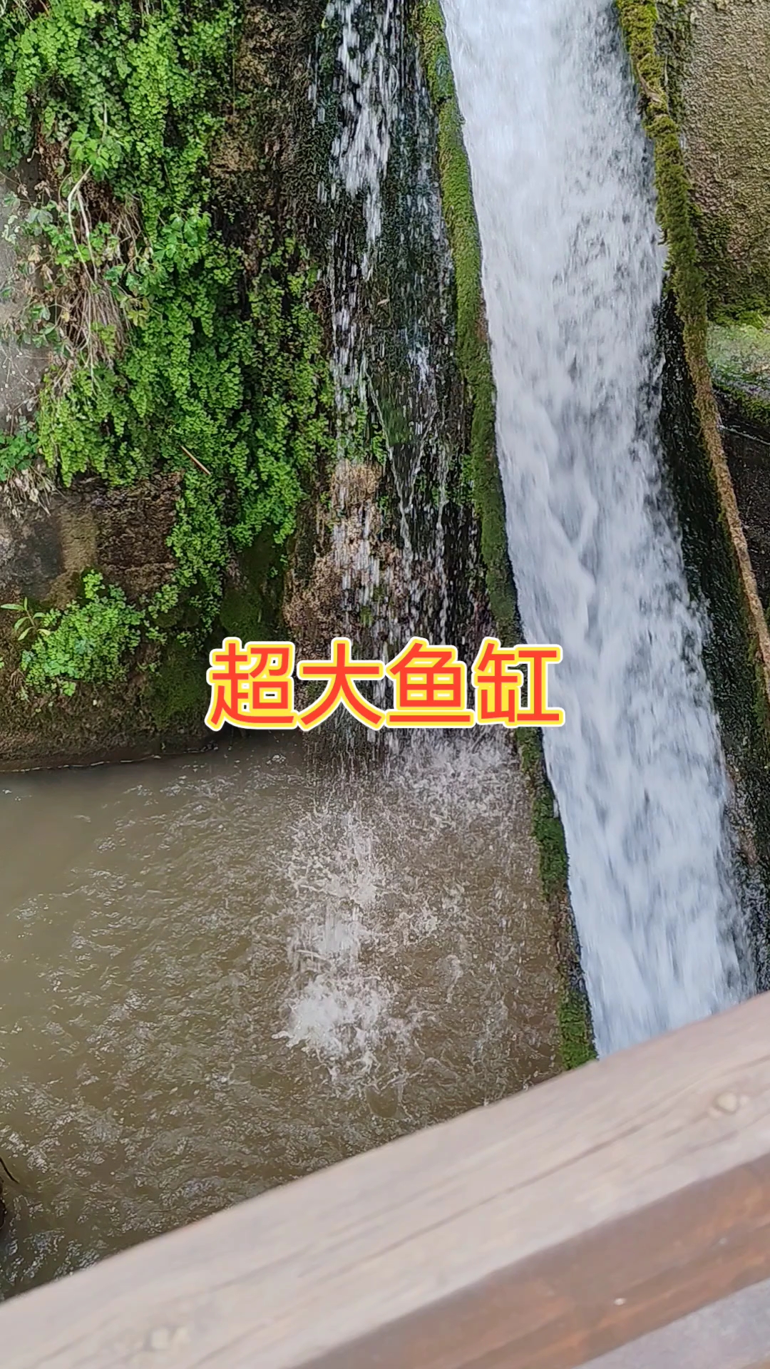 自制大鱼缸