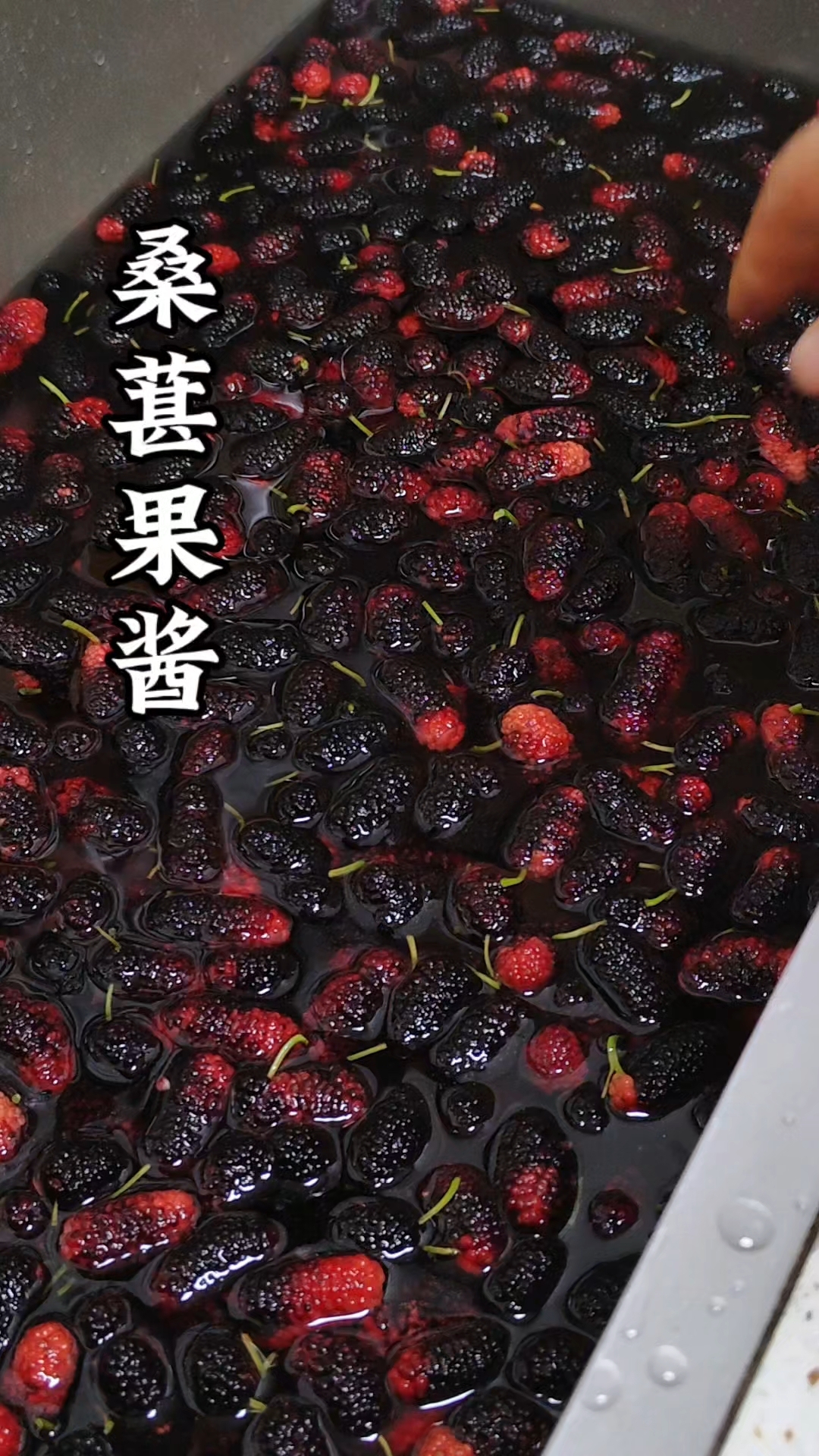 自制桑葚果酱:只需三样食材就能做,厨房小白也能轻松搞定