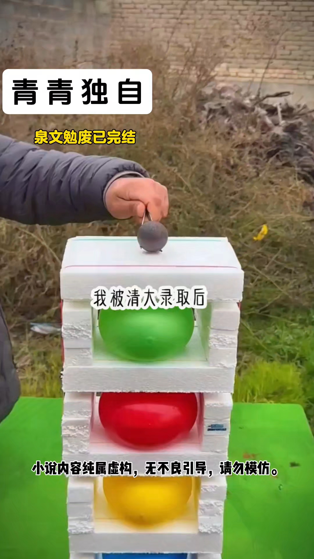 免费看全文的小说,哪里看,西红柿。