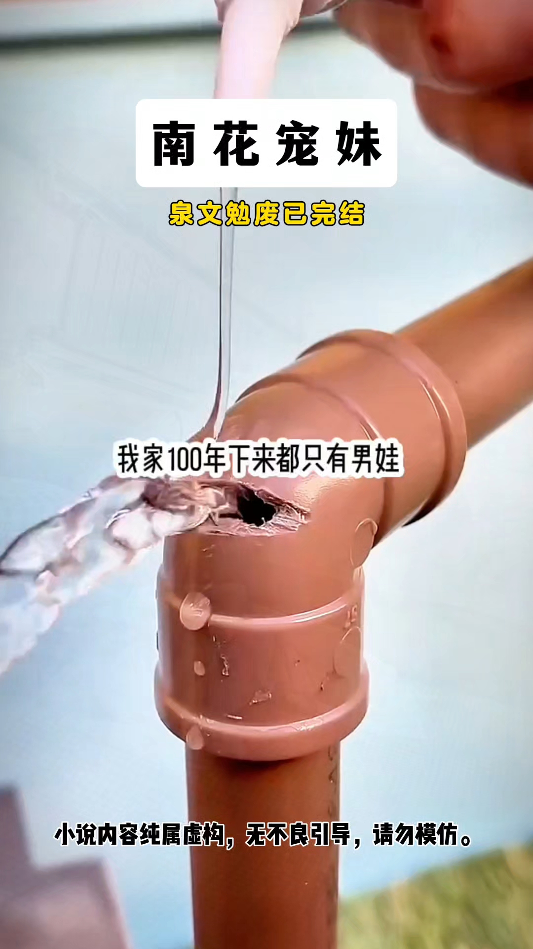 好看的小说,免费看后续的小说。