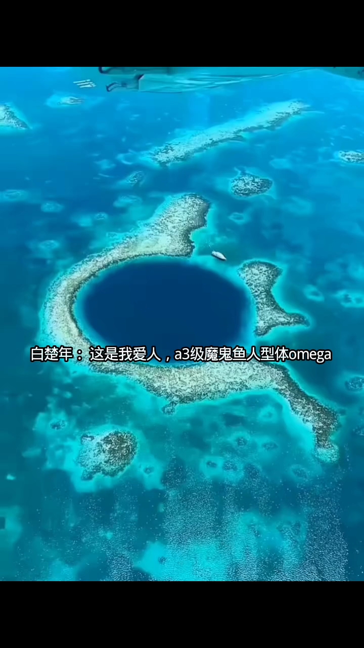 #人鱼陷落#兰波#白楚年