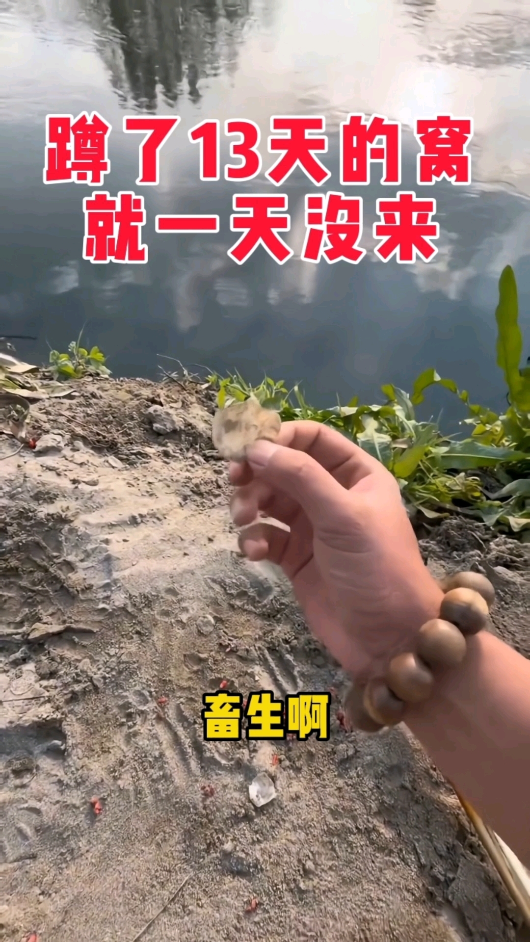 钓鱼佬晚上要失眠了