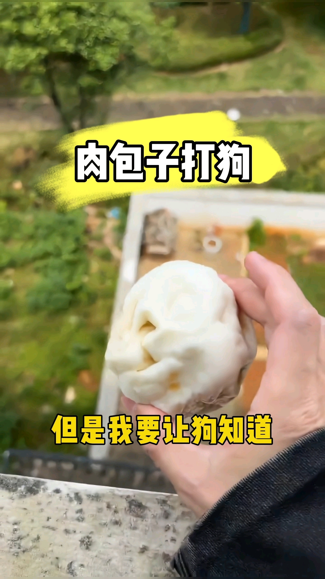 狗：天上不会掉馅饼，但天上会掉肉包子#搞笑# #狗狗#