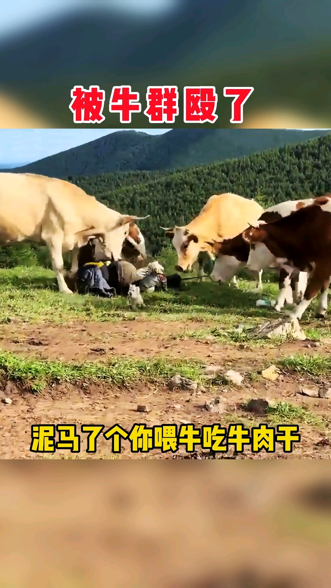 喂牛吃牛肉干,这不是作死呢吗?