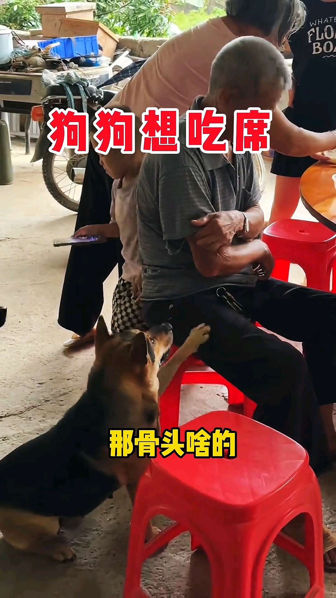 狗:老头给我来两块你不吃的骨头