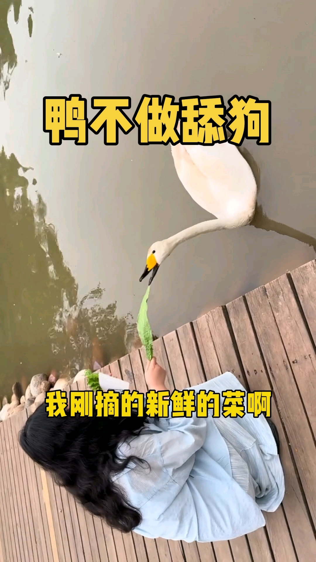 鸭子都知道得不到就放手#搞笑#