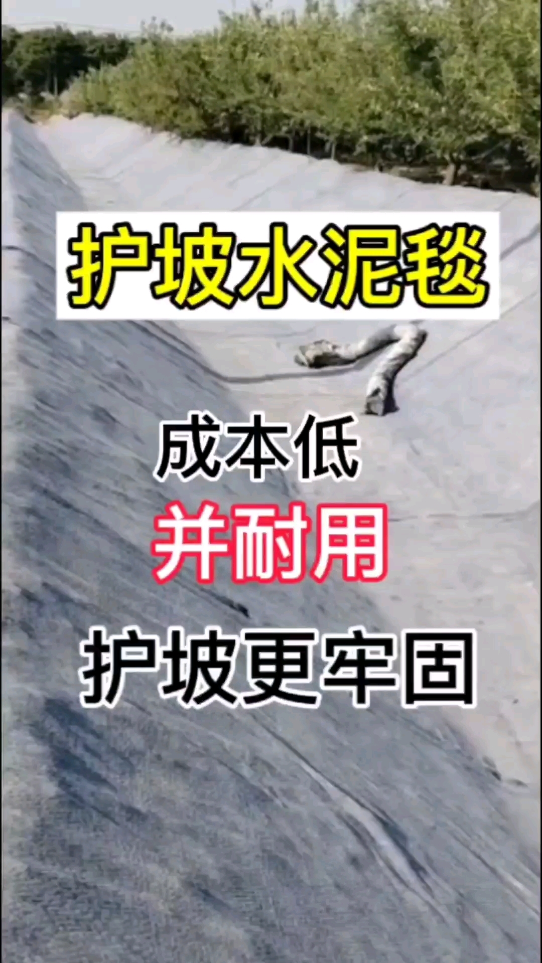 鱼塘护坡水泥毯 #水泥毯 #鱼塘护坡
