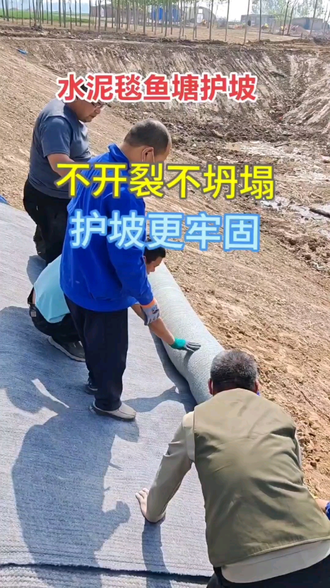 鱼塘护坡水泥毯不开裂不坍塌,护坡更牢固#水泥毯#鱼塘护坡