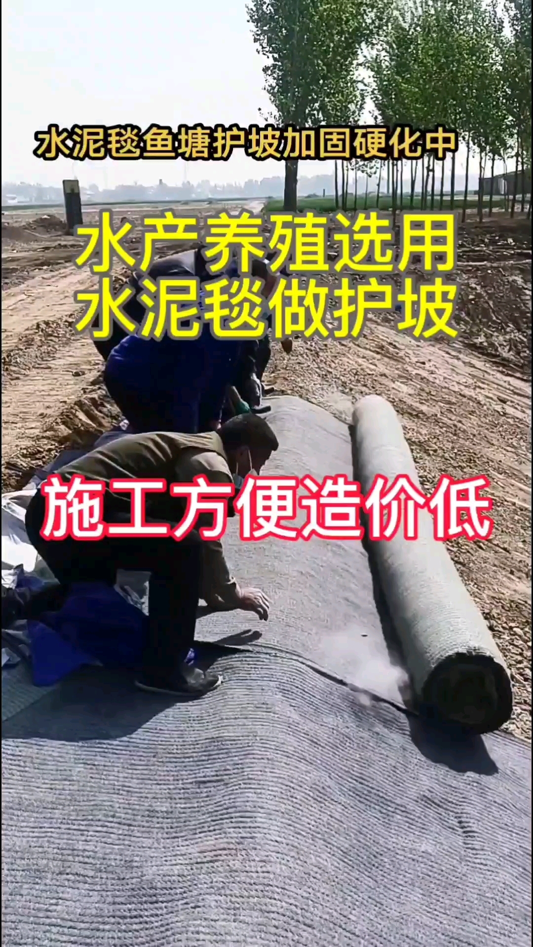 护坡水泥毯施工方便造价低 #护坡水泥毯 #鱼塘护坡 #河道护