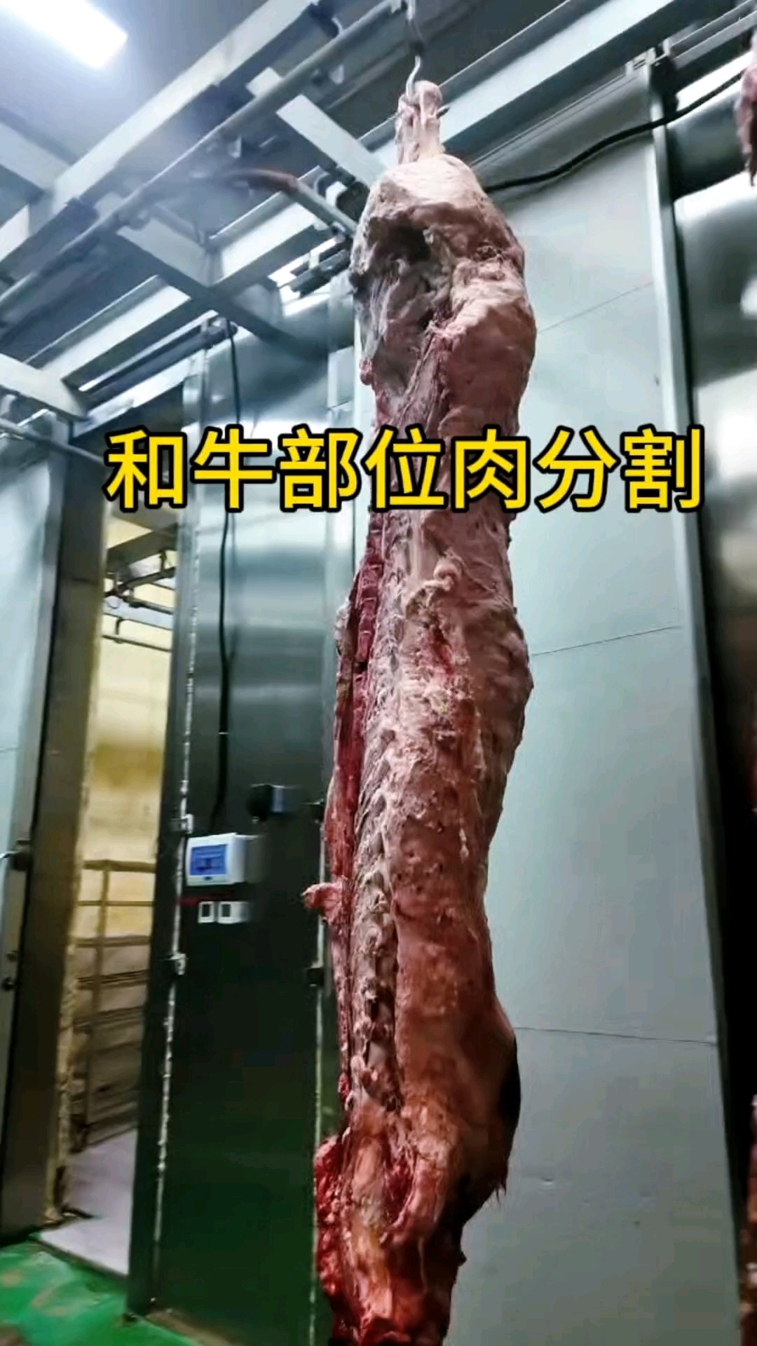 和牛部位肉分割