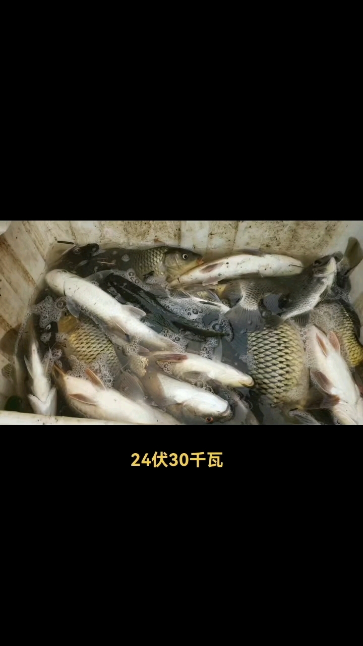 深水捕鱼大功率机头船用电鱼船捕鱼电拖网深水八字杆捕鱼视频机头