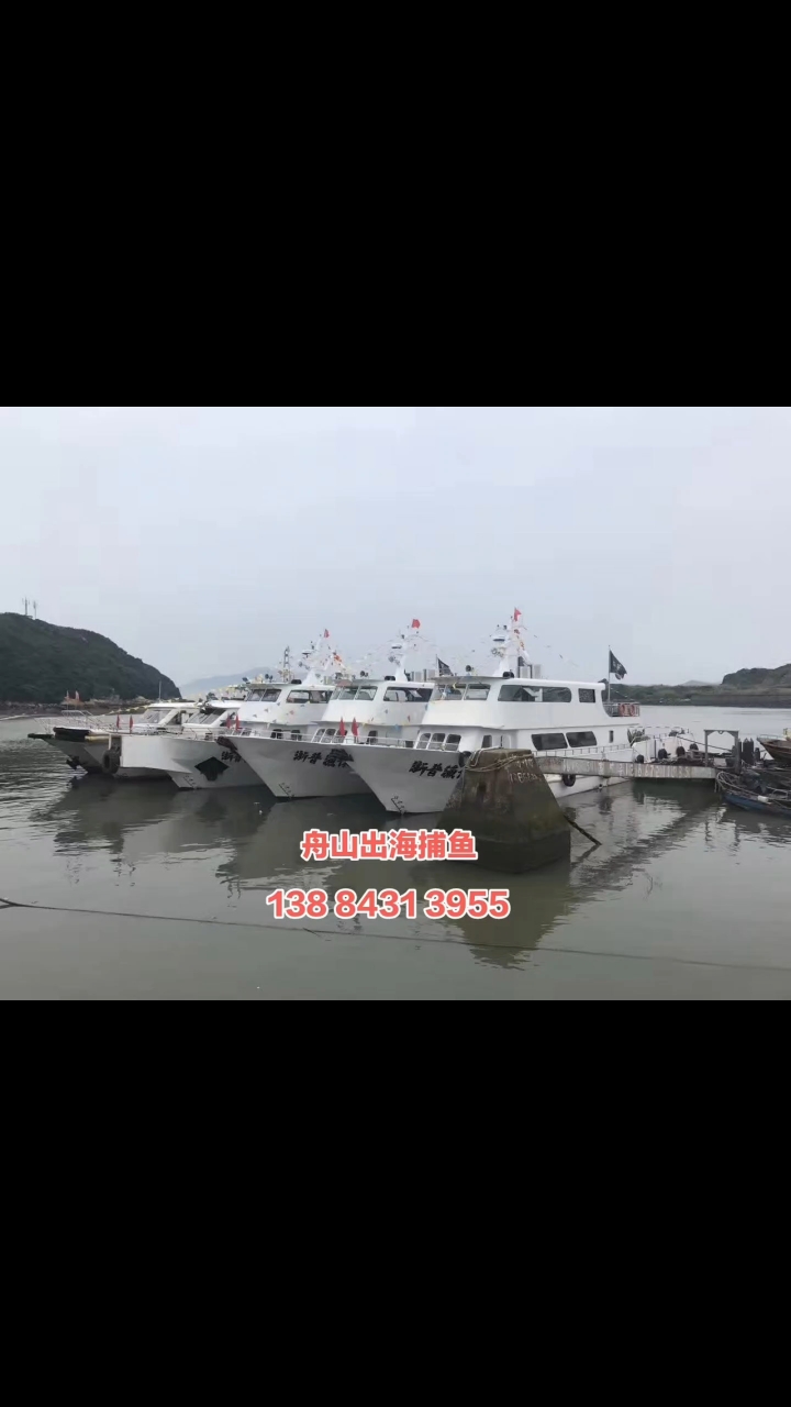舟山朱家尖出海捕鱼海风轻拂,游轮摇曳,我在朱家尖海域拖网捕鱼