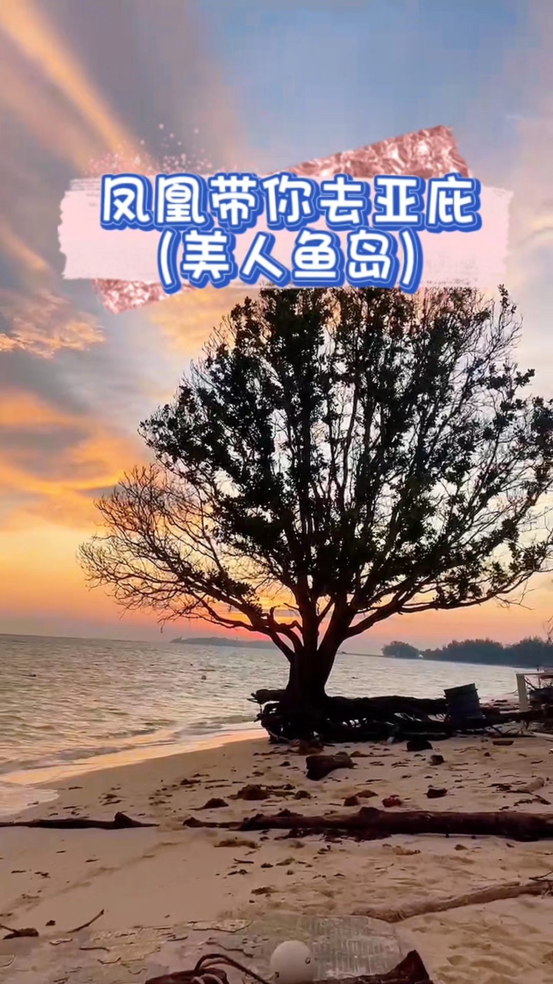凤凰带你去美人鱼岛 第 2 集