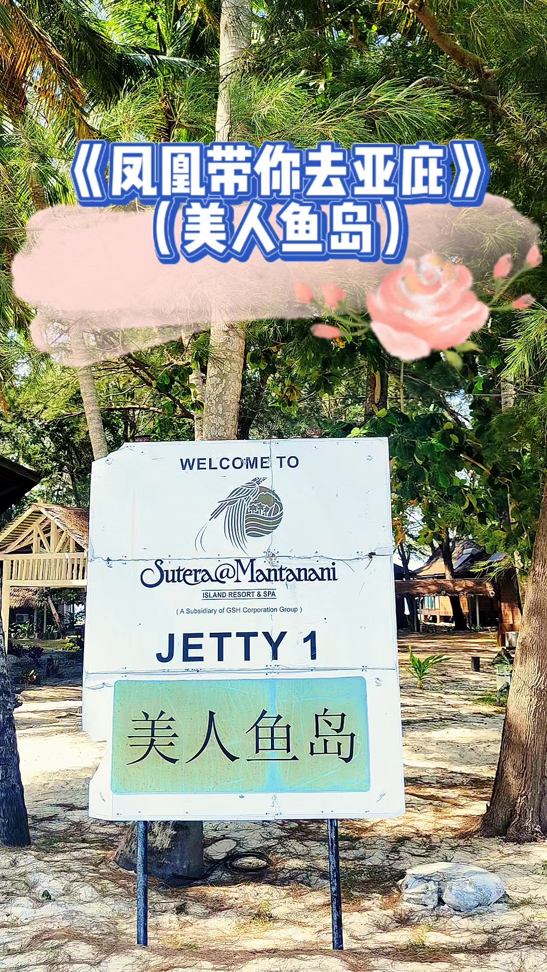 凤凰带你去美人鱼岛 第1集