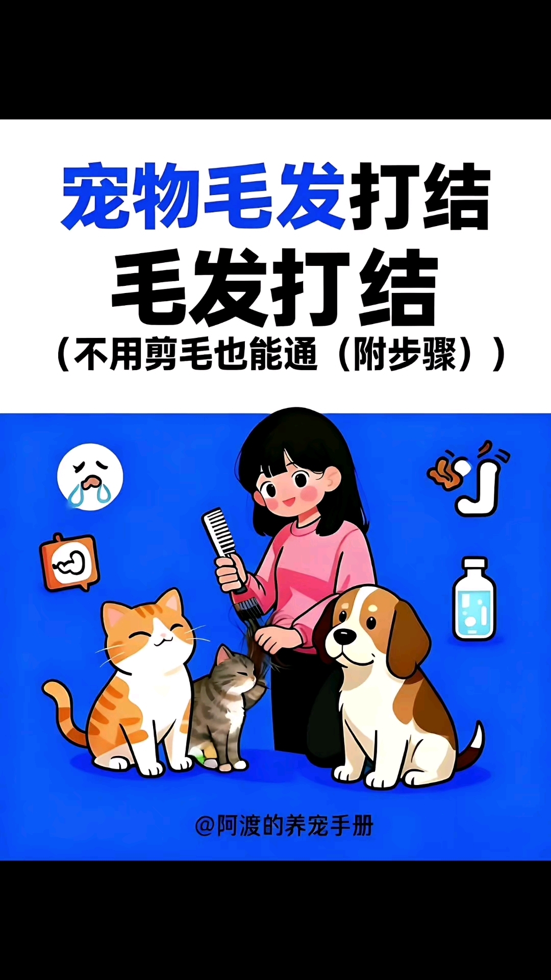 宠物毛发打结