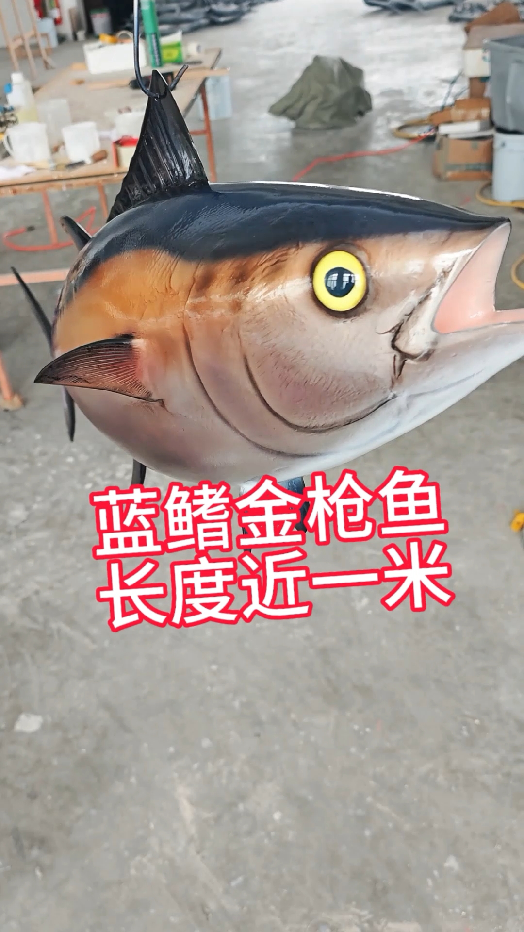 蓝鳍金枪鱼模型