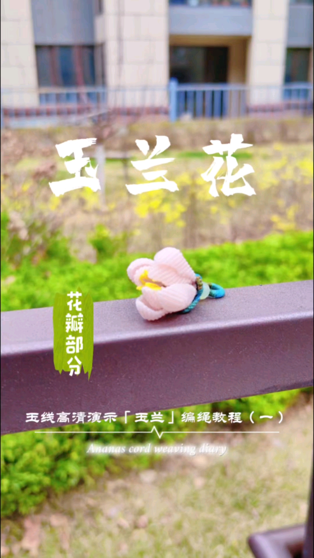 围观手艺人编织玉兰花(一)#春日花艺DIY# #手工编织花# #玉兰花# #编绳教程#