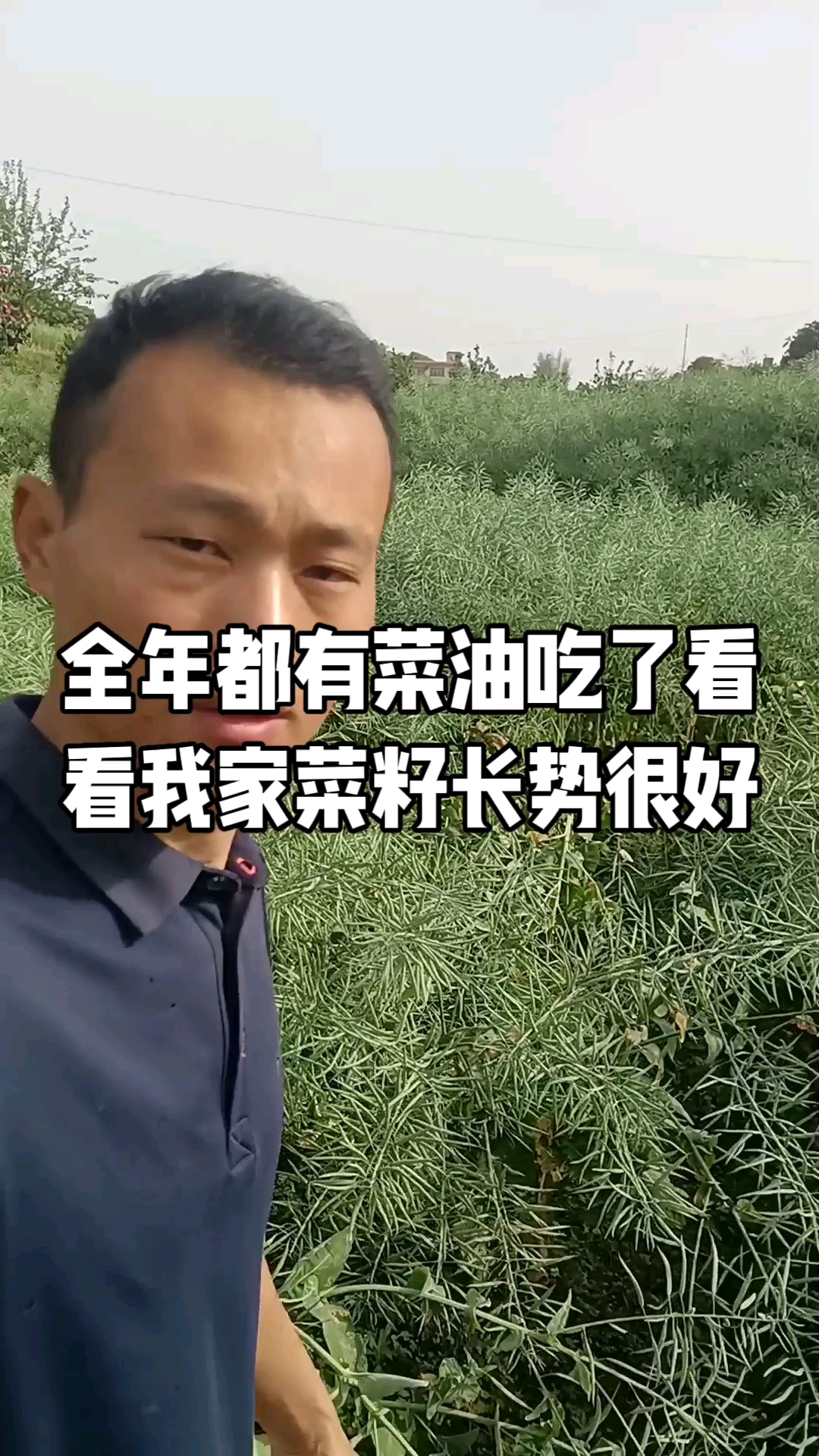 全年都有菜油吃喽,看看自己家种的油菜籽长势喜人呐!