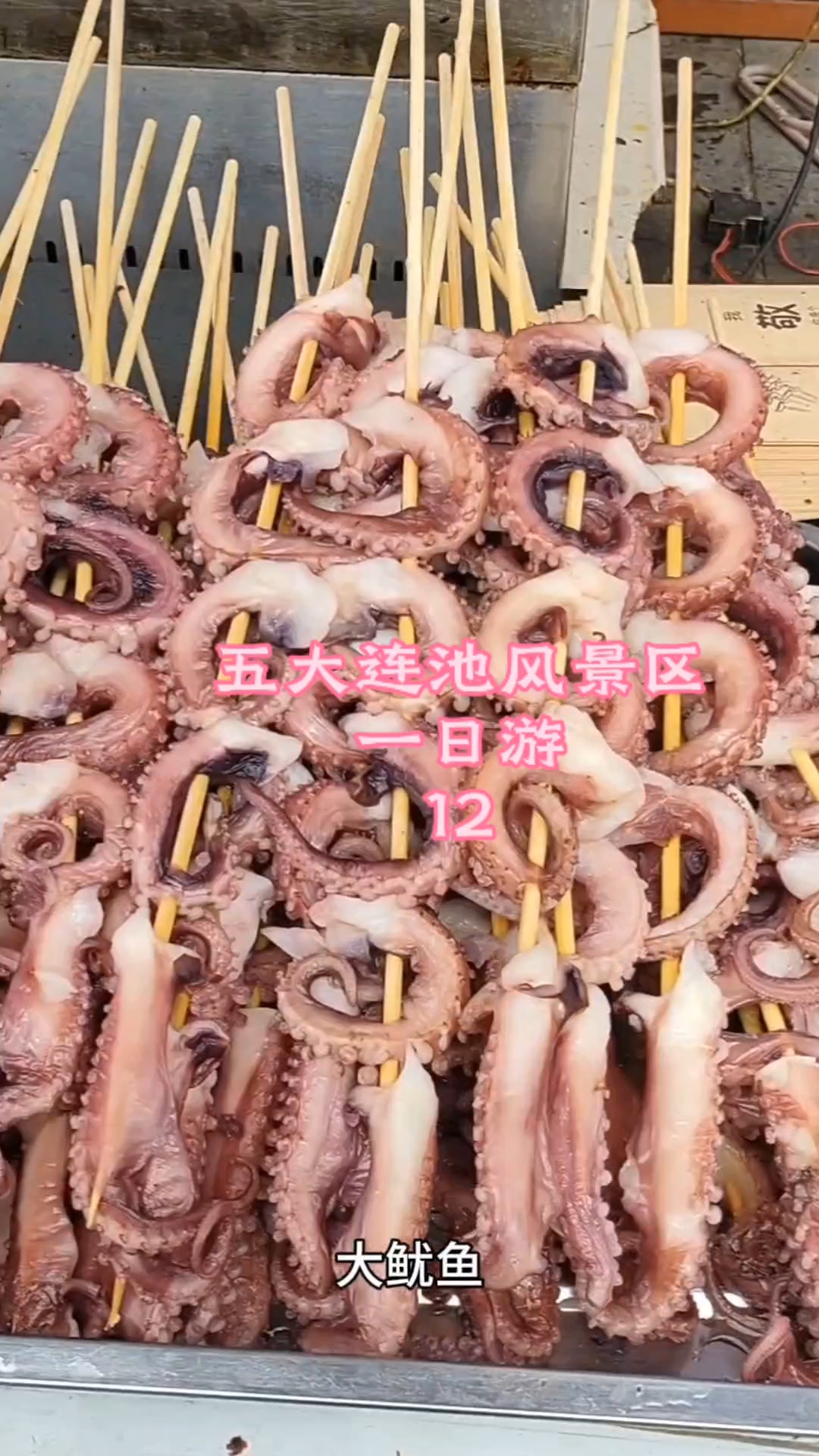 发现一个规律,无论是沿海不沿海美食城都有大烤鱿鱼啊