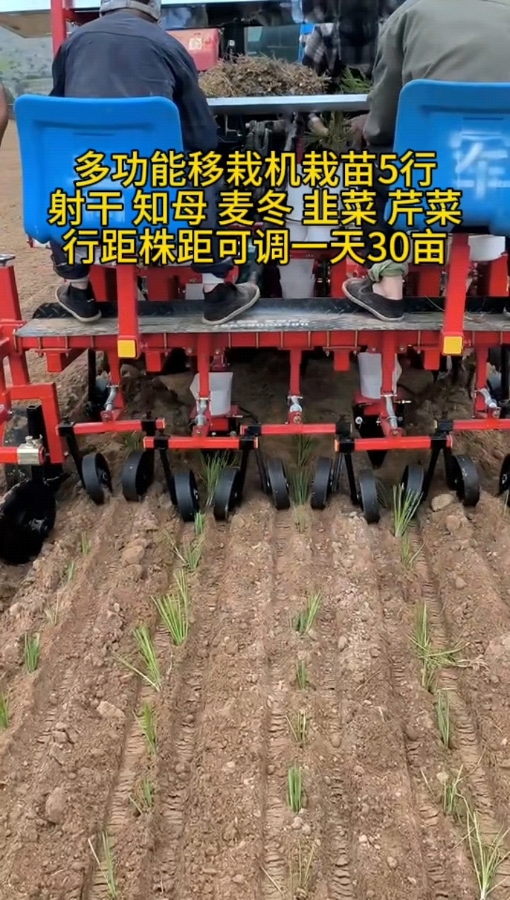 5行栽苗移栽机,适合知母射干麦冬韭菜各类秧苗