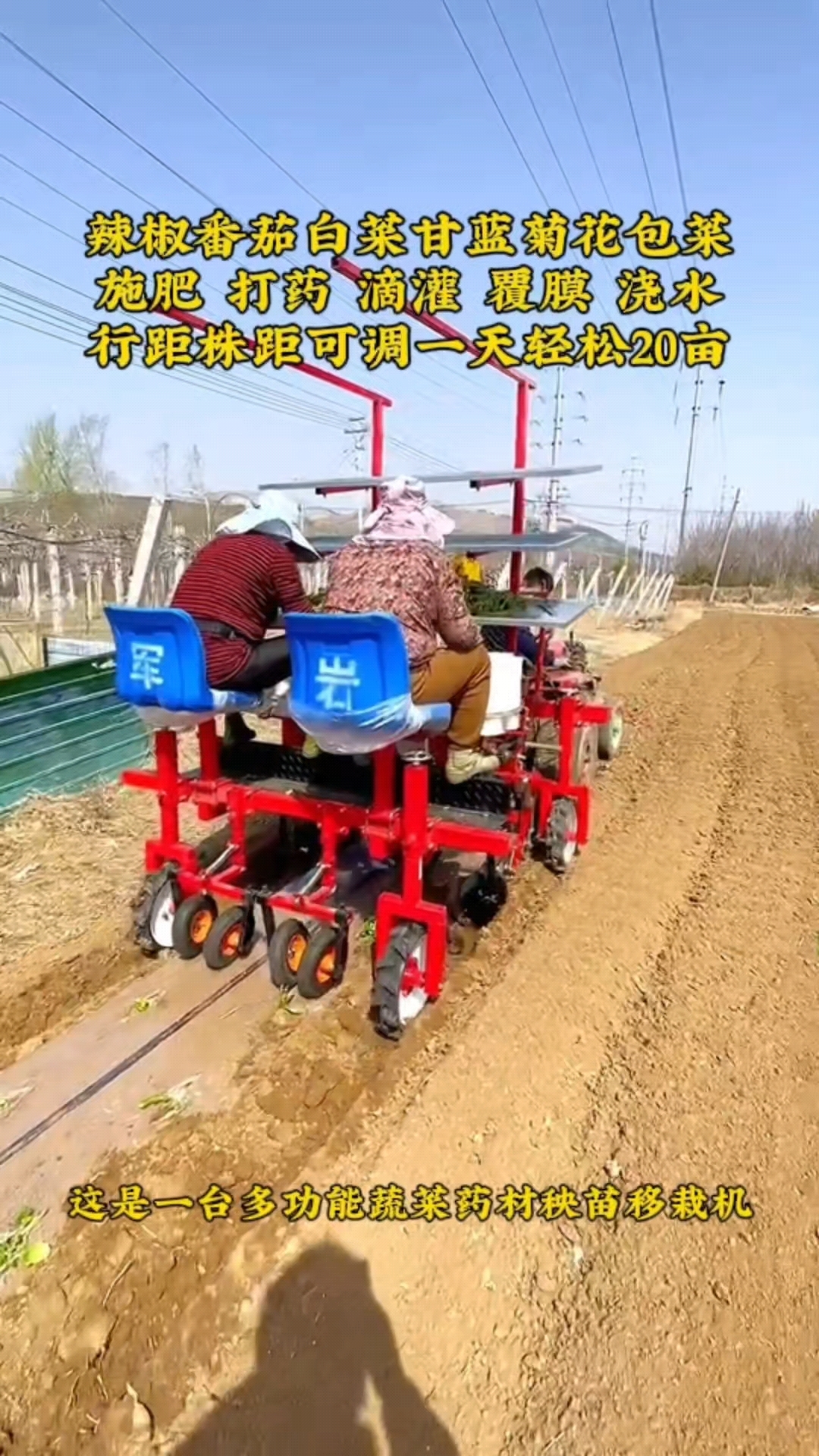 多功能蔬菜药材秧苗移栽机