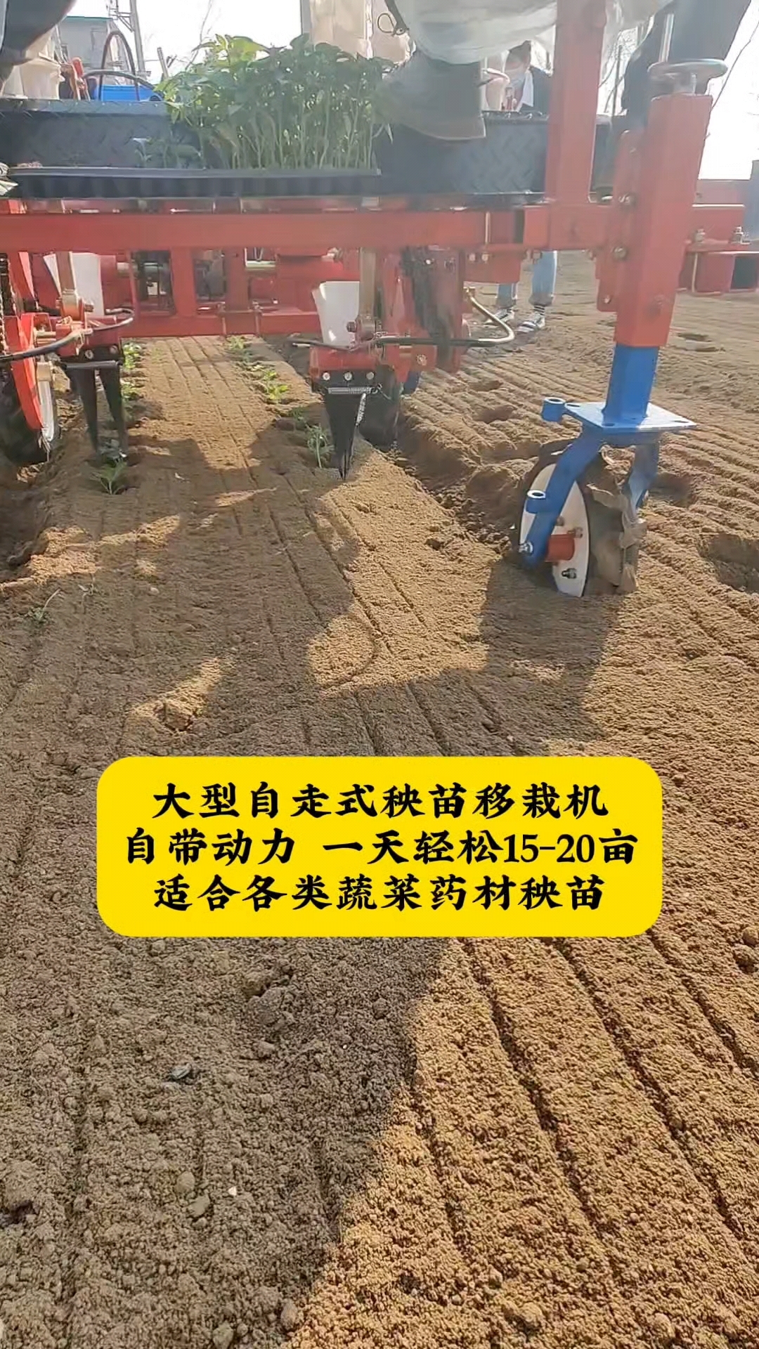 大型自走式秧苗移栽机,适合各类蔬菜药材秧苗,一天十几亩